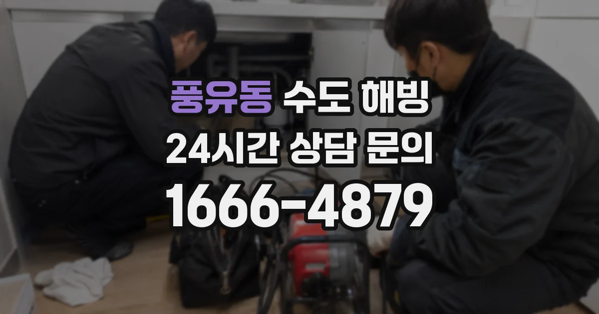 풍유동 수도 해빙