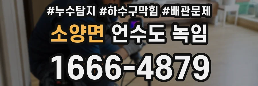 소양면 언수도 녹임