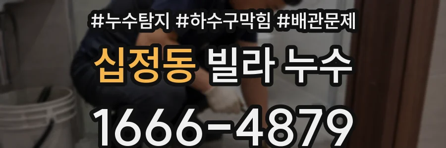 십정동 빌라 누수