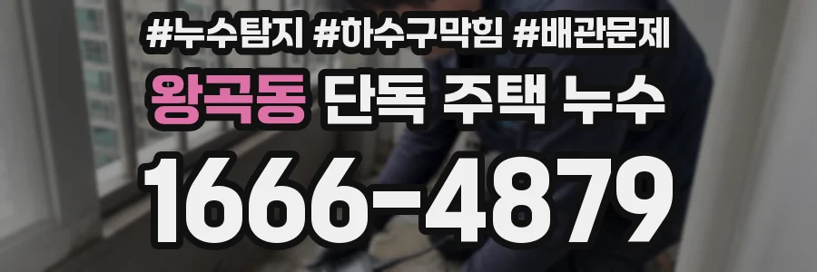 왕곡동 단독 주택 누수