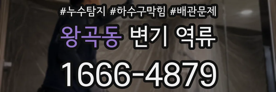왕곡동 변기 역류