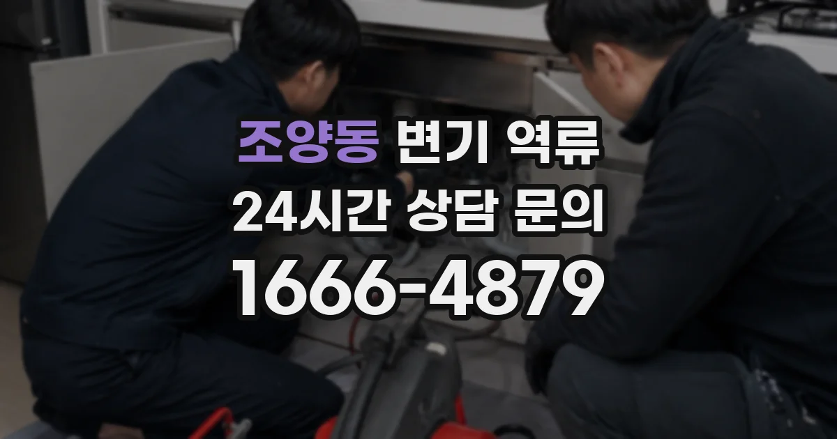 조양동 변기 역류