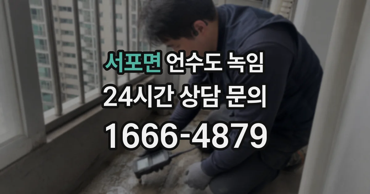 서포면 언수도 녹임
