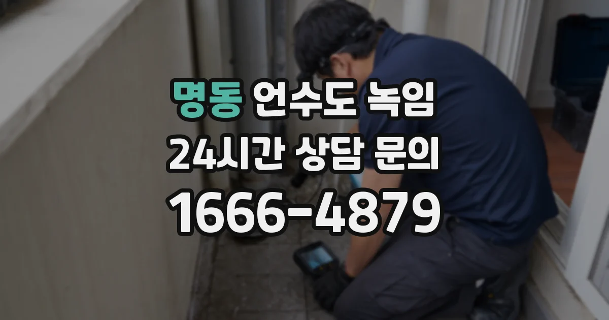 명동 언수도 녹임