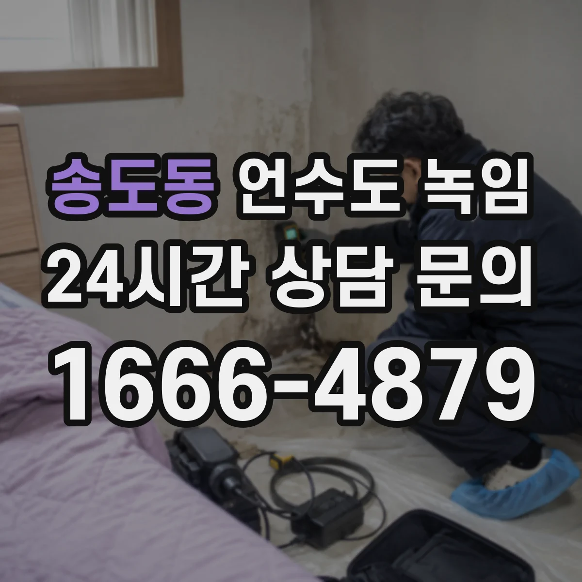 송도동 언수도 녹임
