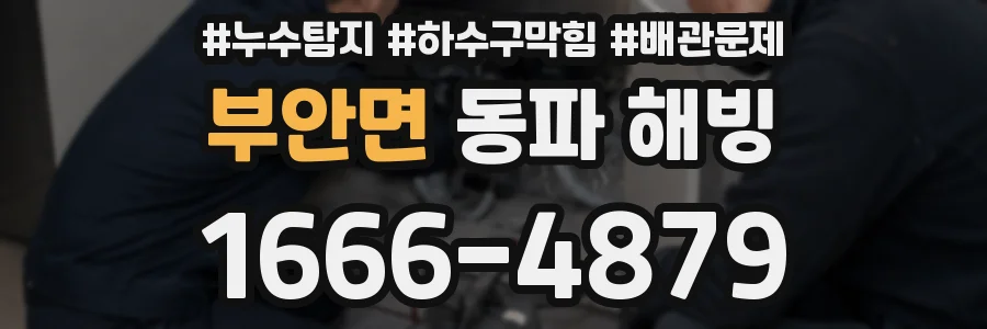 부안면 동파 해빙