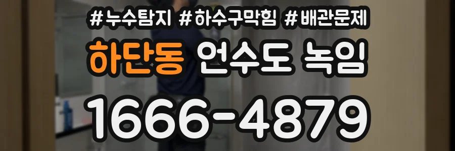 하단동 언수도 녹임