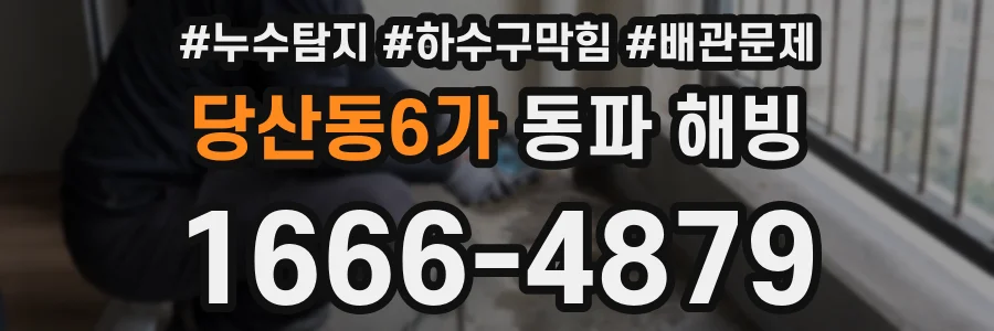 당산동6가 동파 해빙