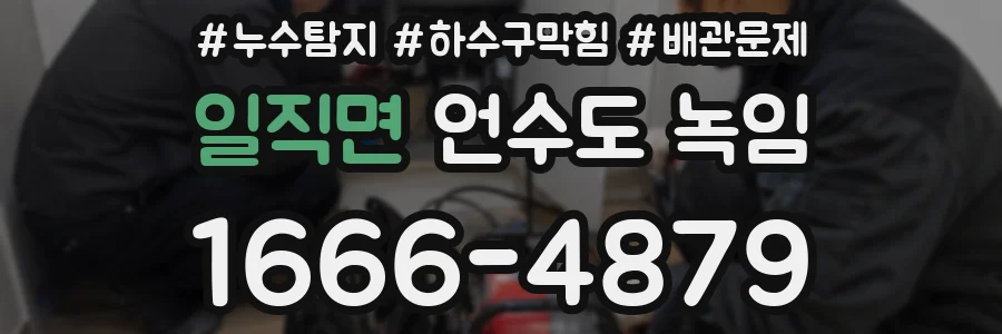 일직면 언수도 녹임