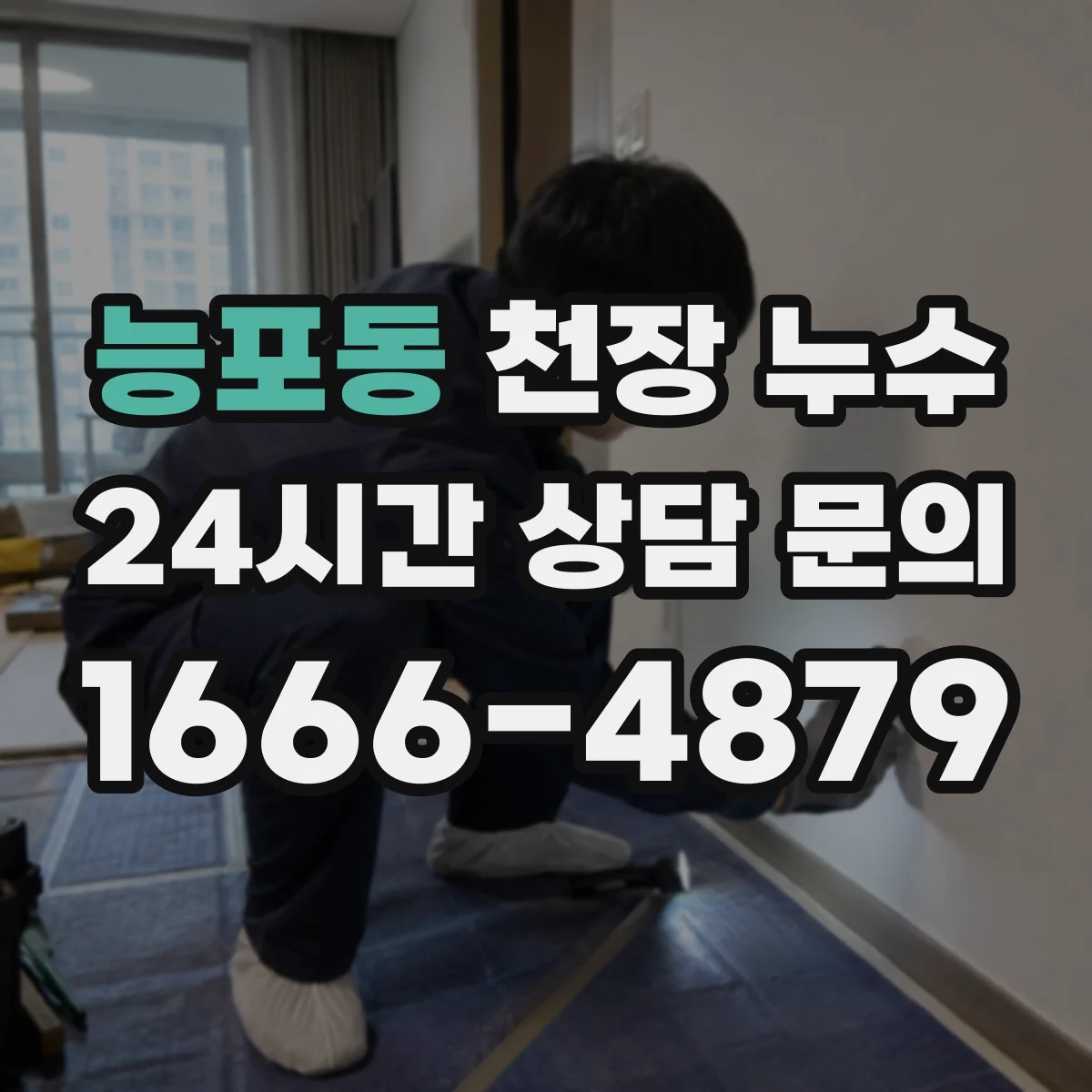 능포동 천장 누수