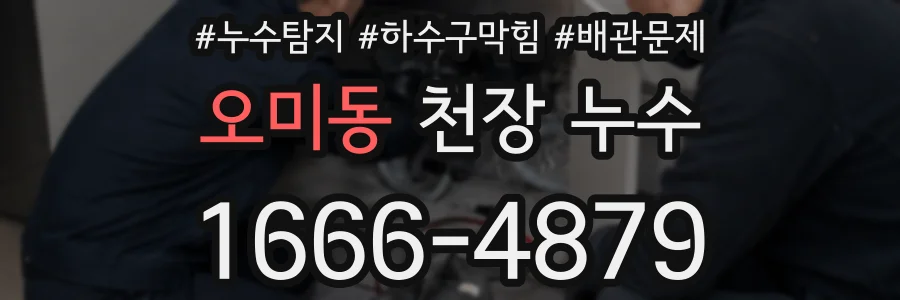 오미동 천장 누수