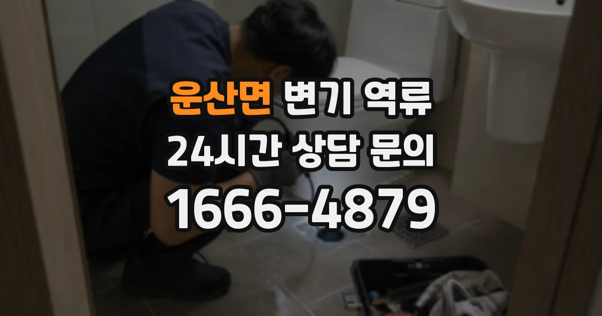 운산면 변기 역류