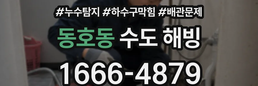 동호동 수도 해빙