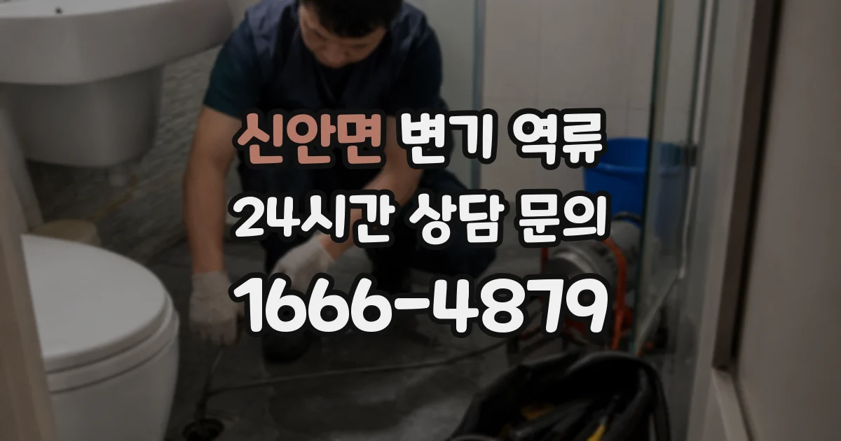 신안면 변기 역류