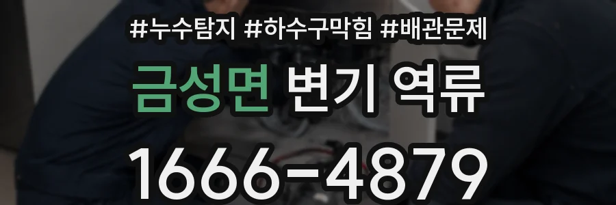 금성면 변기 역류