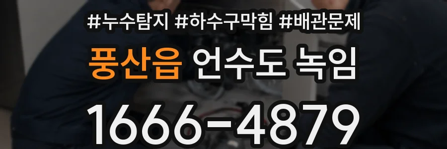 풍산읍 언수도 녹임