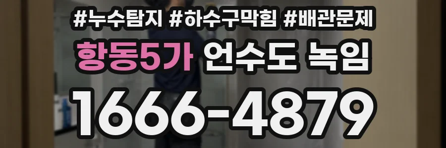 항동5가 언수도 녹임