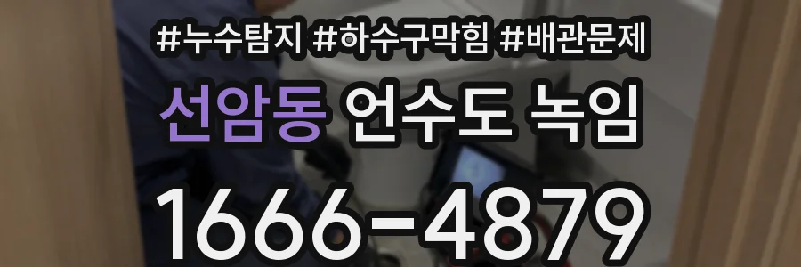 선암동 언수도 녹임