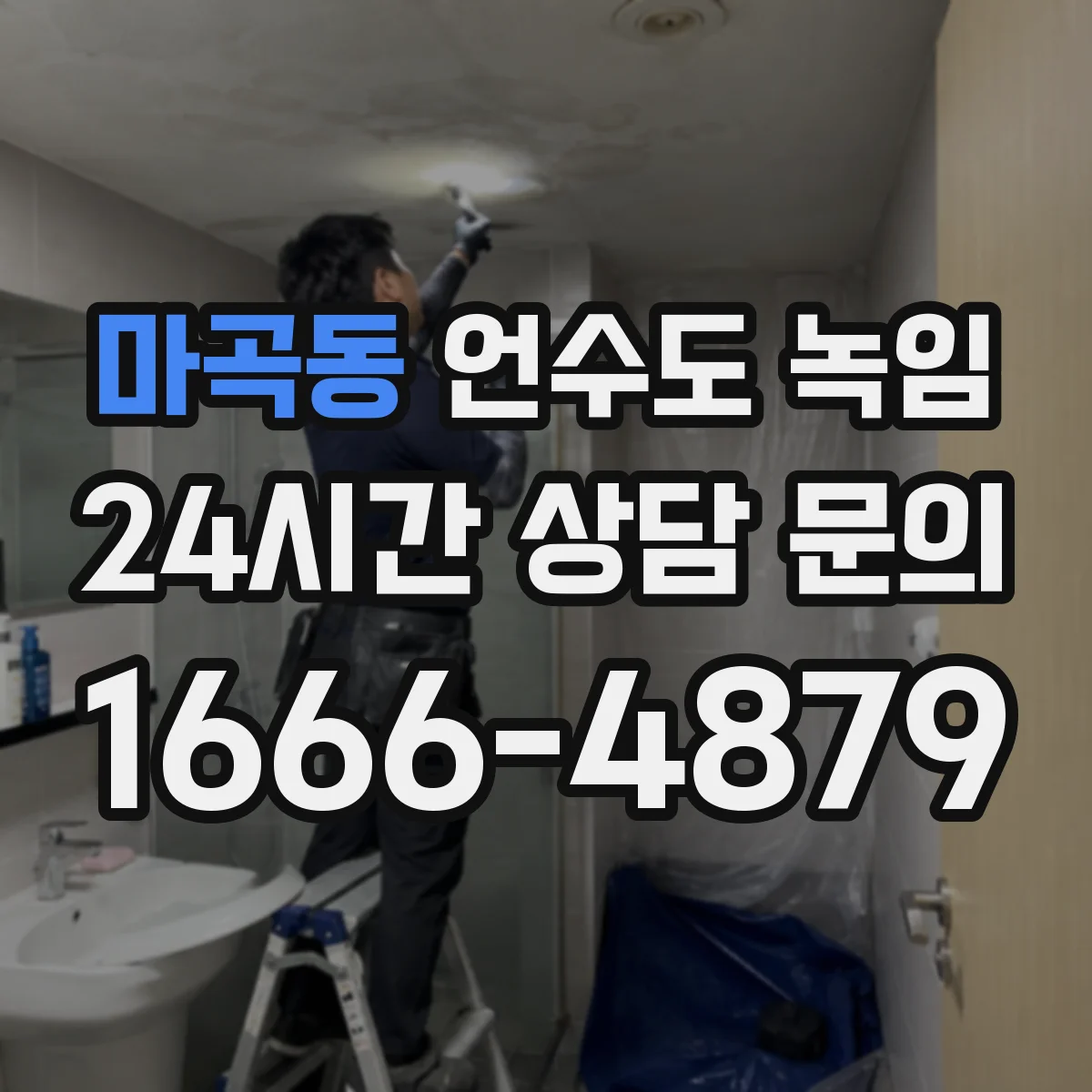 마곡동 언수도 녹임