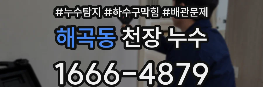 해곡동 천장 누수