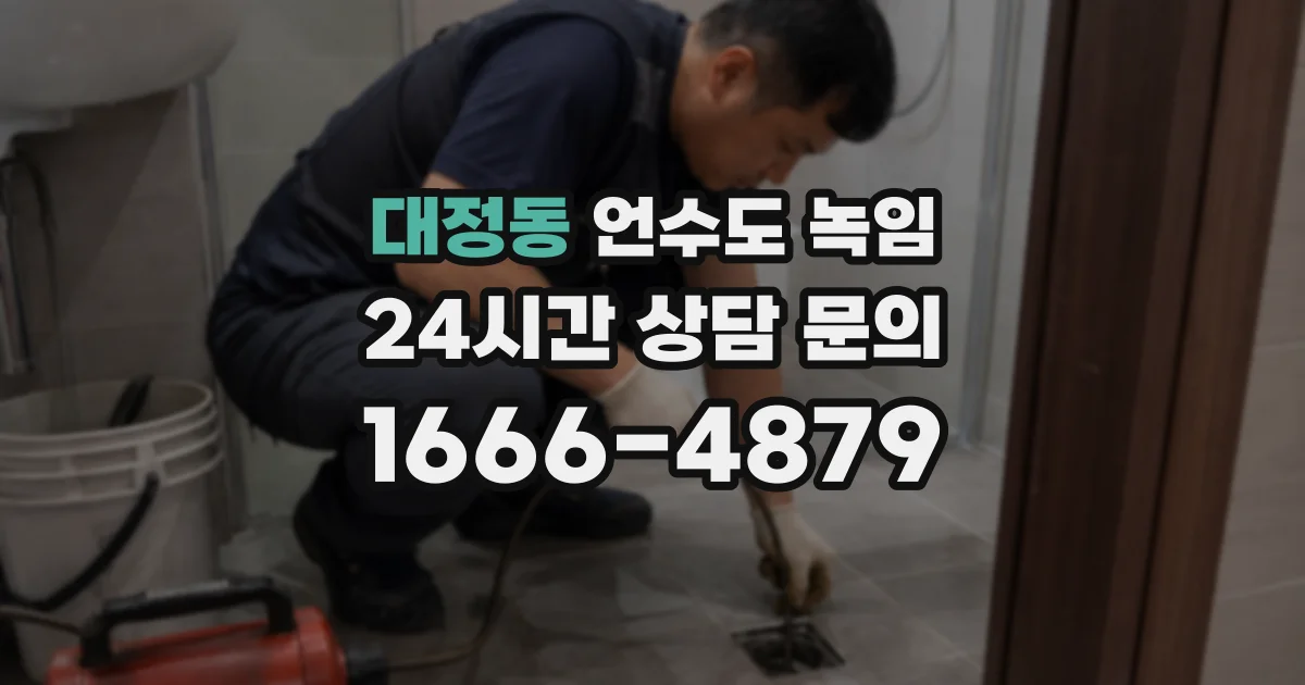 대정동 언수도 녹임