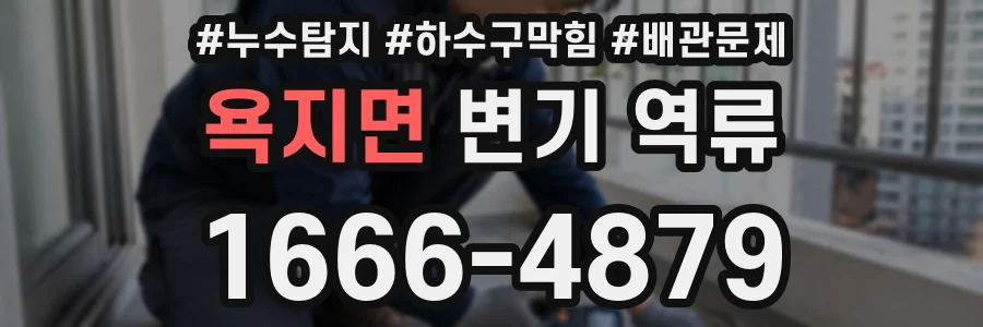 욕지면 변기 역류