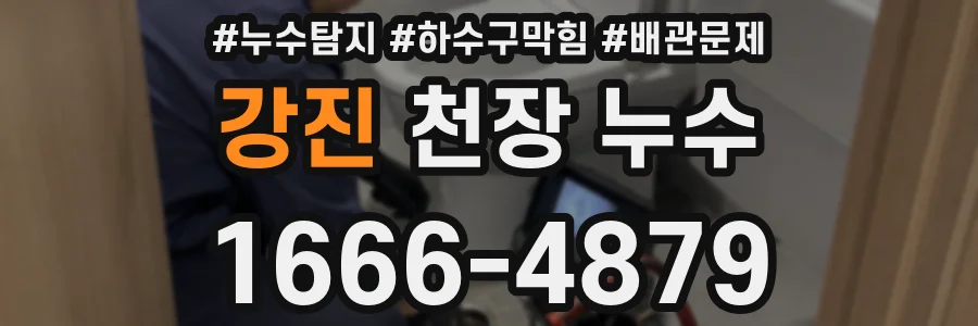 강진 천장 누수