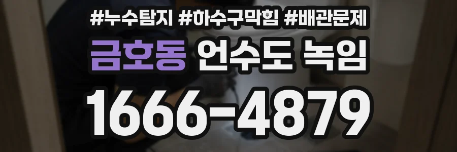 금호동 언수도 녹임