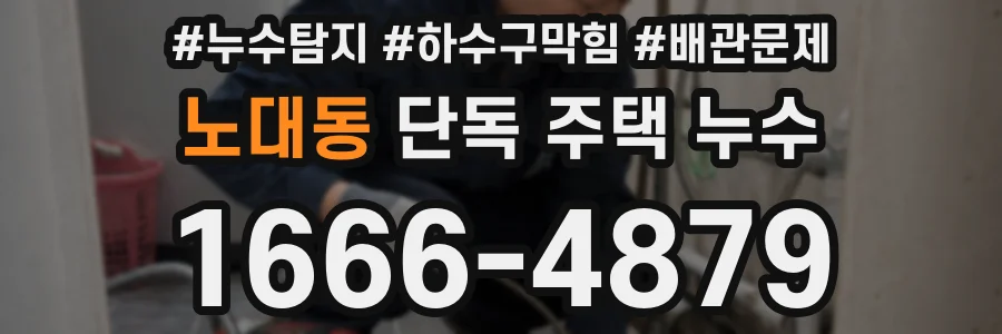 노대동 단독 주택 누수