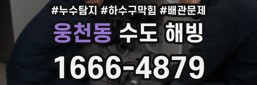 웅천동 수도 해빙