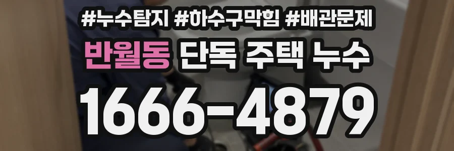 반월동 단독 주택 누수