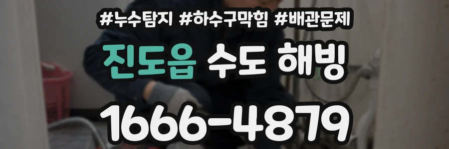 진도읍 수도 해빙