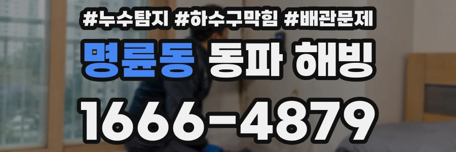 명륜동 동파 해빙