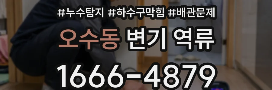 오수동 변기 역류