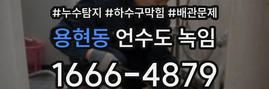용현동 언수도 녹임