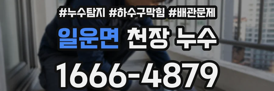 일운면 천장 누수