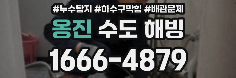 옹진 수도 해빙