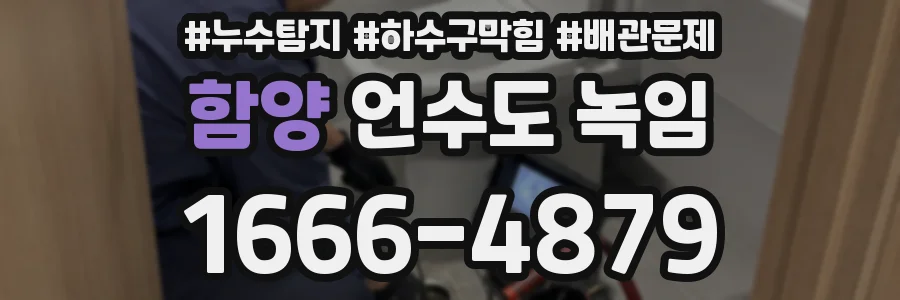 함양 언수도 녹임