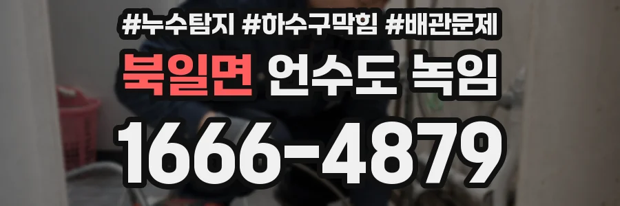 북일면 언수도 녹임
