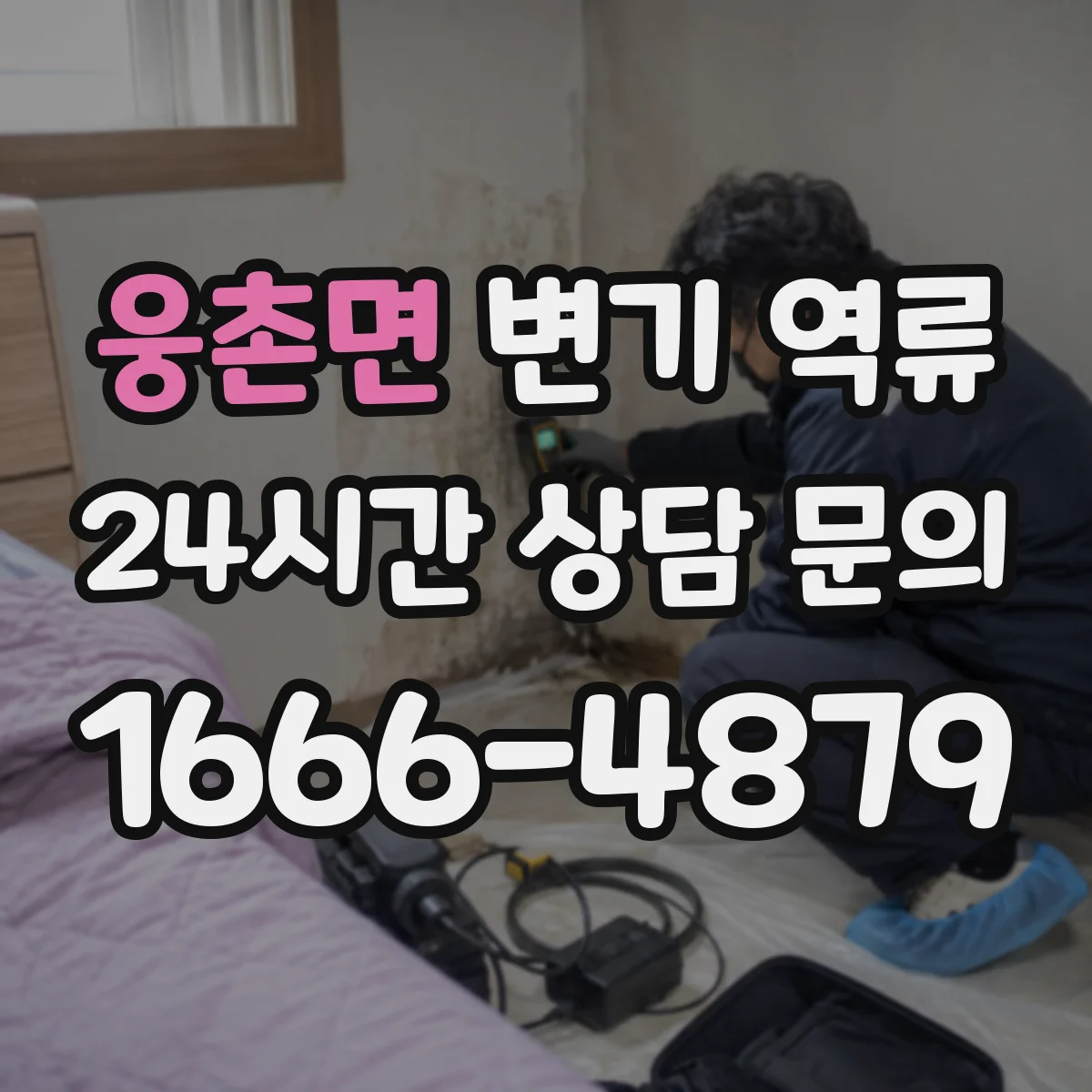 웅촌면 변기 역류