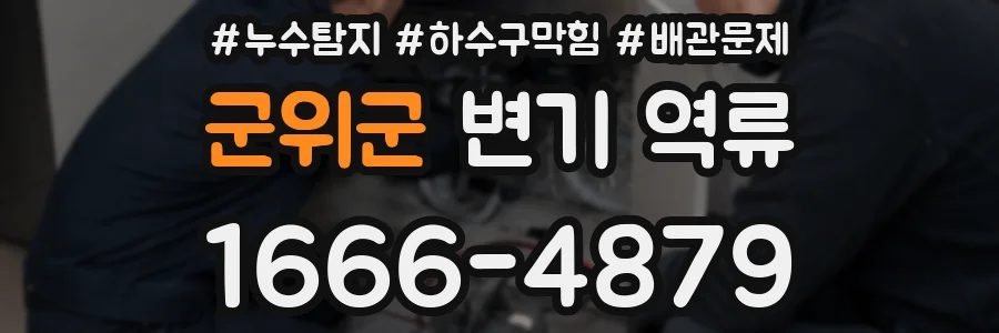 군위군 변기 역류