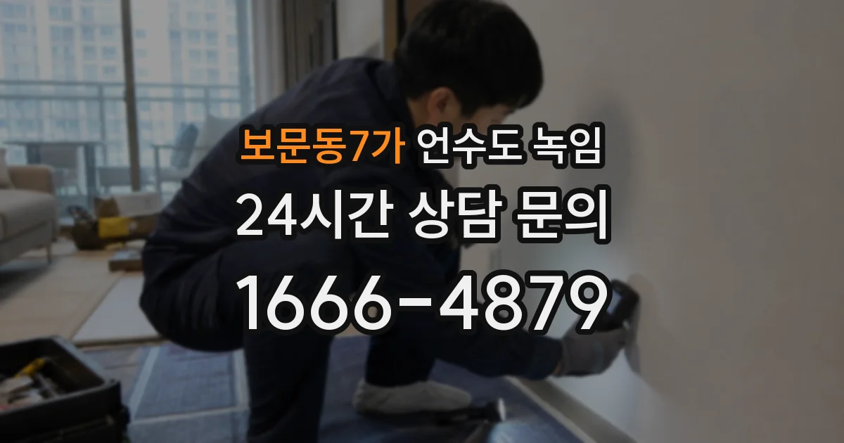 보문동7가 언수도 녹임