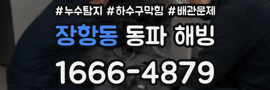 장항동 동파 해빙