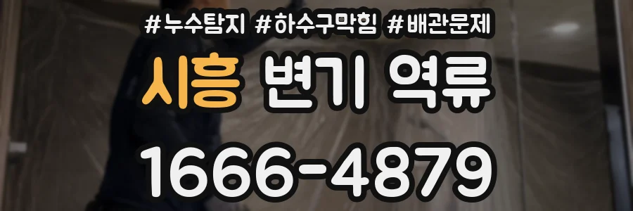 시흥 변기 역류