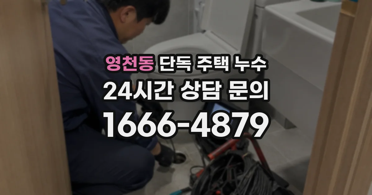 영천동 단독 주택 누수