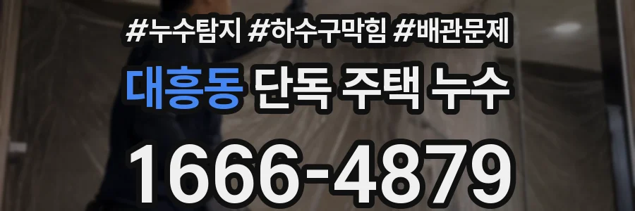 대흥동 단독 주택 누수