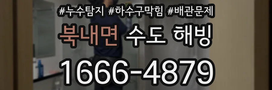 북내면 수도 해빙