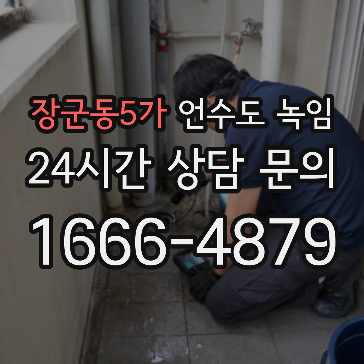 장군동5가 언수도 녹임