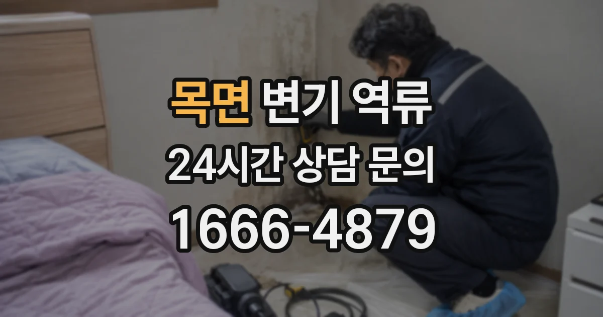 목면 변기 역류