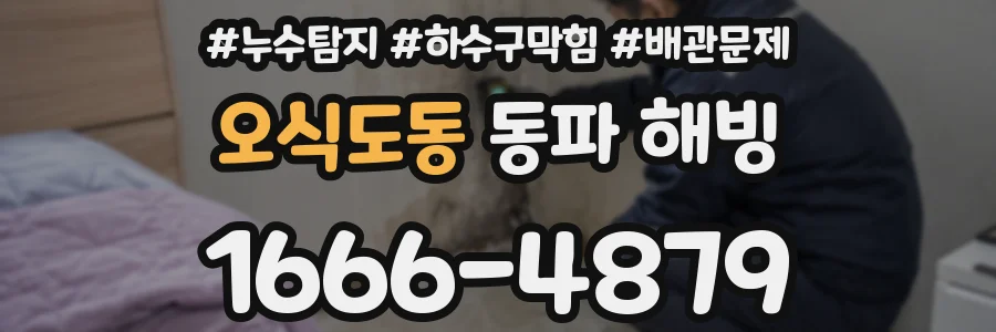 오식도동 동파 해빙